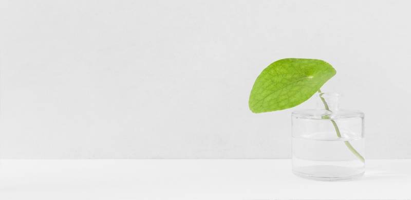 Eau filtrée et purifiée